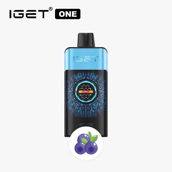 Blueberry Ice IGET ONE